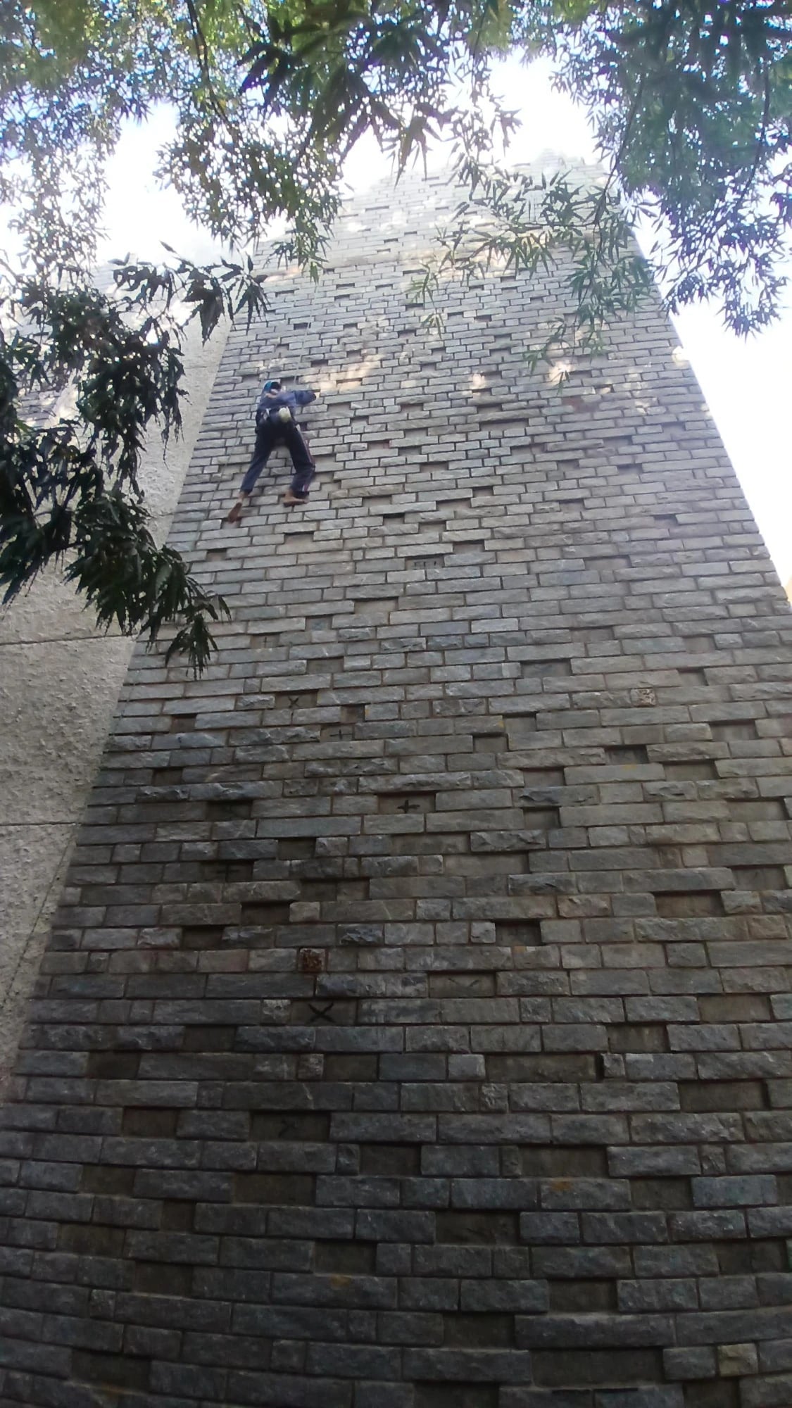 Wall Climbing Competition (2 of 2)